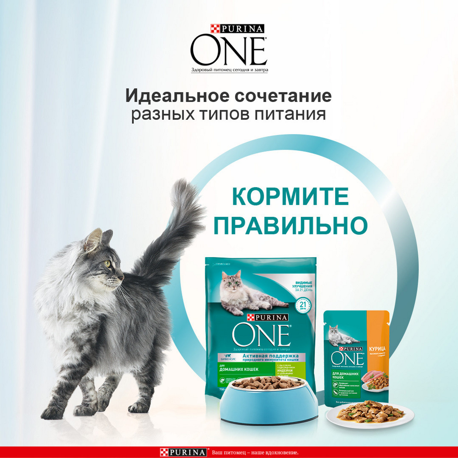 Корм для кошек Purina One домашних с индейкой 200г - фото 5