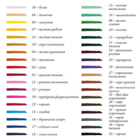 Пастель масляная Малевичъ 36 шт.