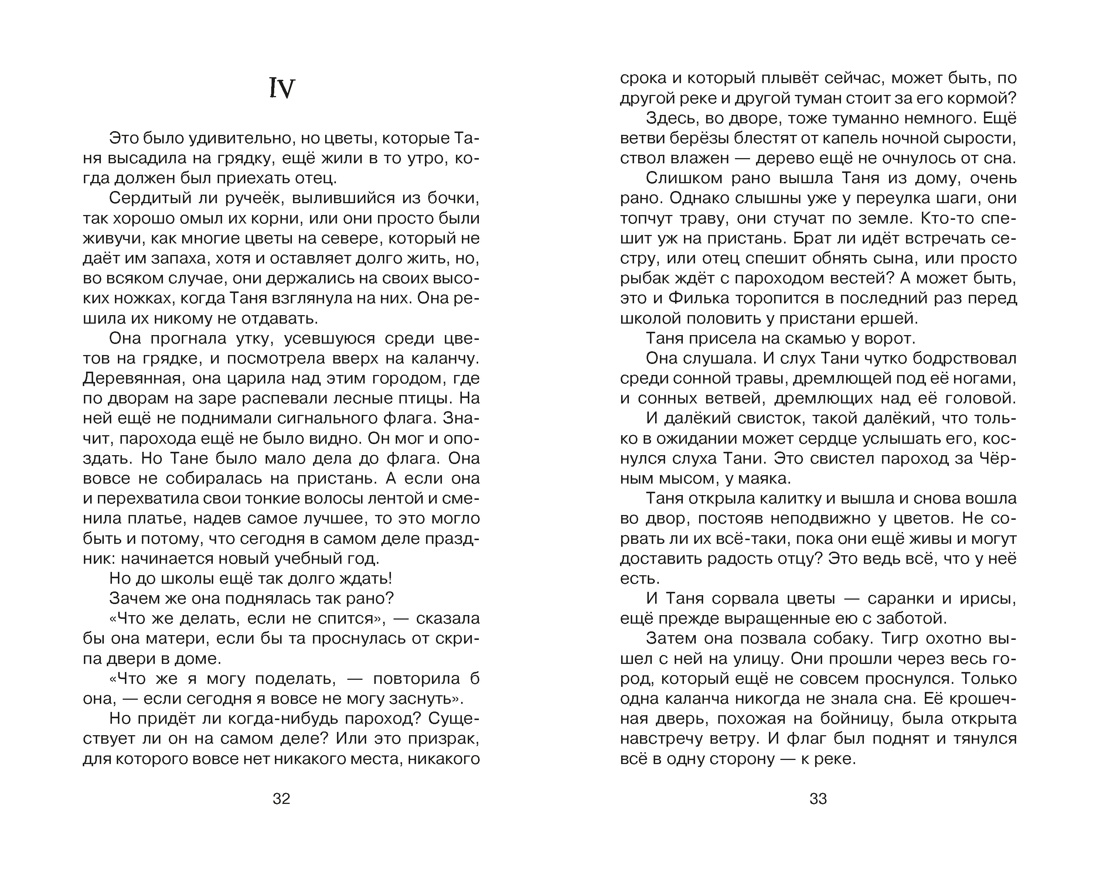 Книга Махаон Дикая собака динго или Повесть о первой любви - фото 9