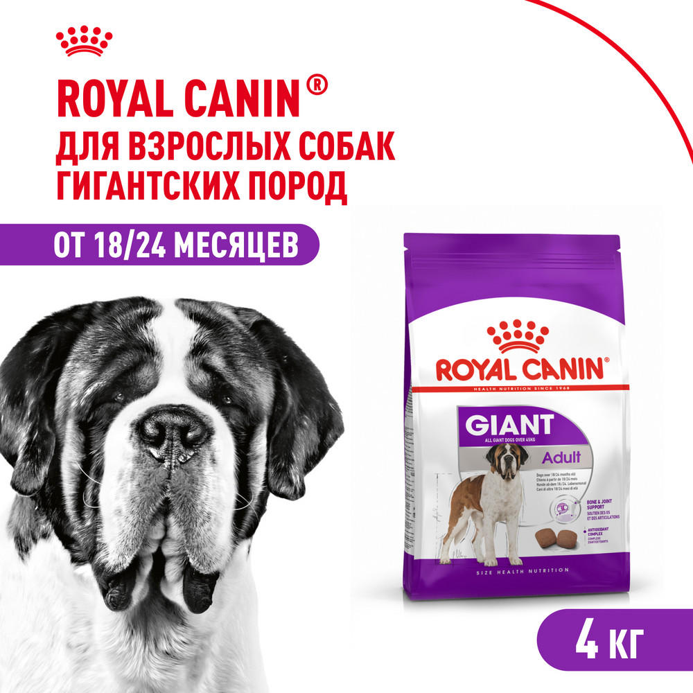Корм для собак ROYAL CANIN гигантских пород 4кг - фото 1