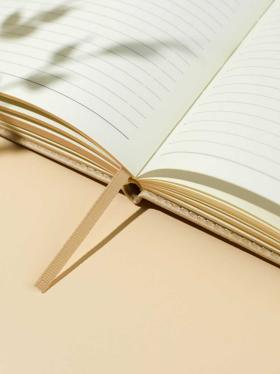 Ежедневник Феникс + ESCALADA 160 лист. - фото 10