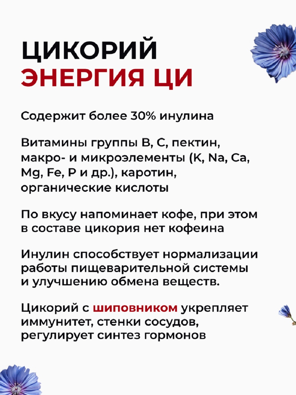 Цикорий Энергия Ци растворимый порошок - фото 5