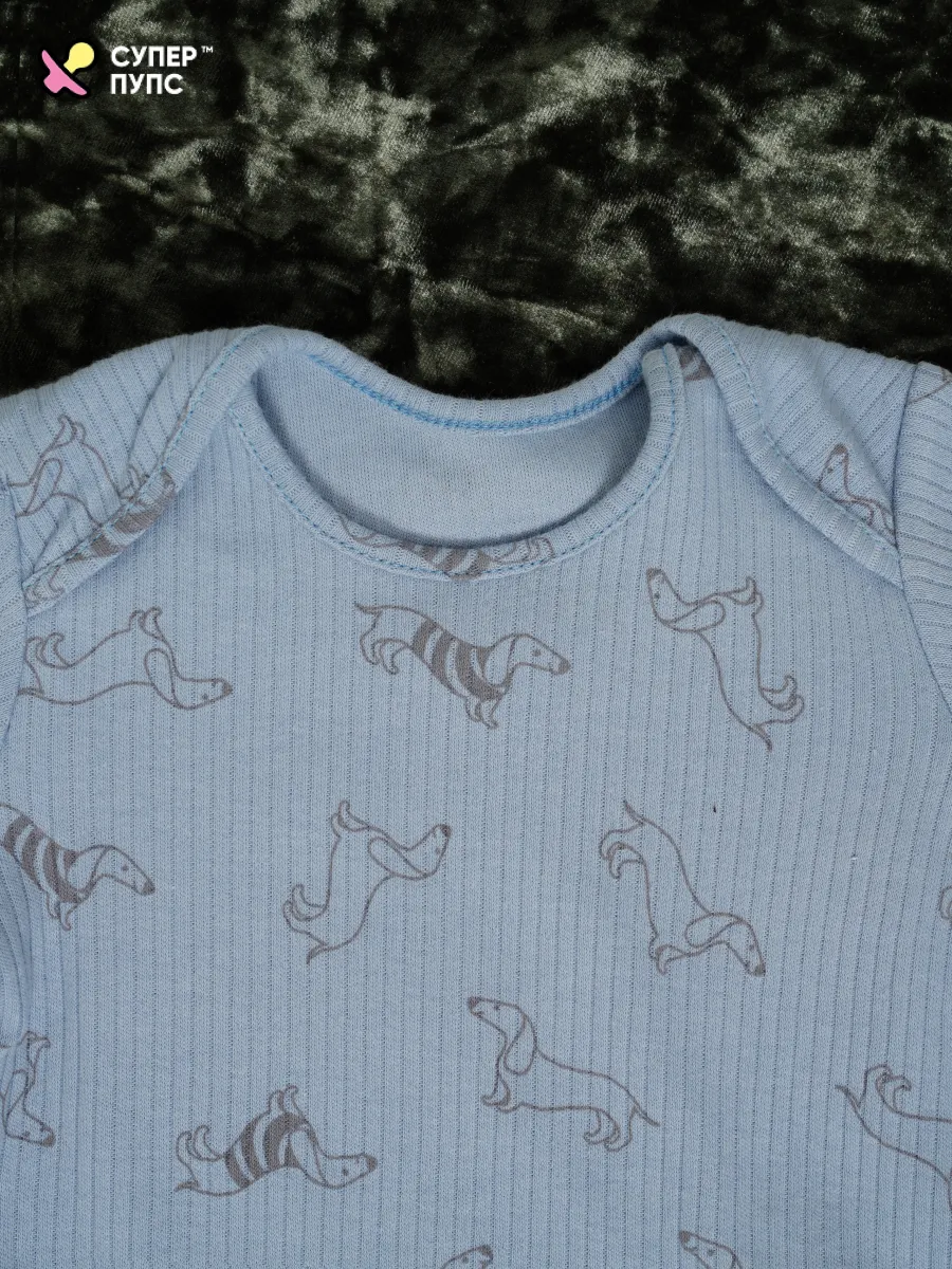 Боди 3 шт Супер Пупс нбр/3пр/бд/коррук/2026/таксы - фото 22