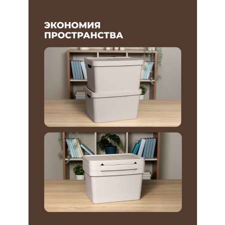 Набор ящиков с крышкой Econova Универсальные 38х27,6х22 см 18л