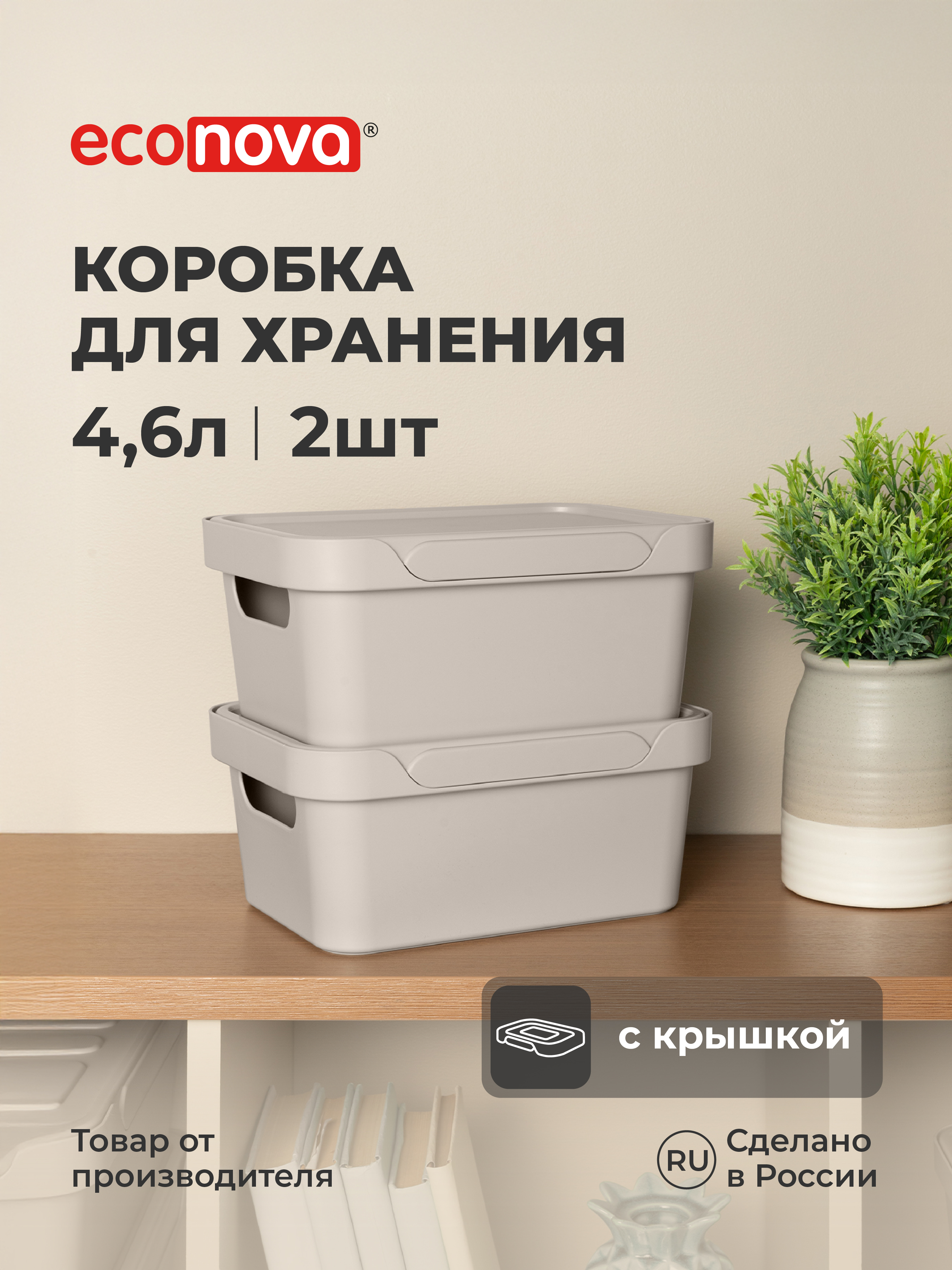 Набор ящиков с крышкой Econova Универсальные 27х19х12 см 4 и 6л - фото 1