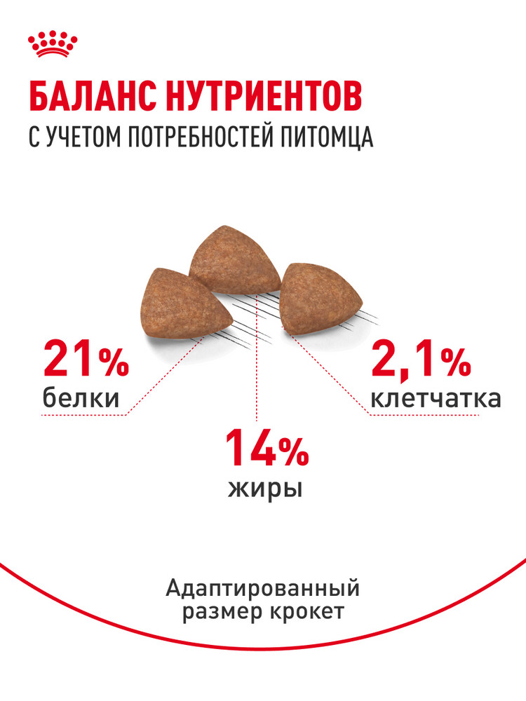 Корм для собак ROYAL CANIN малых пород живущих преимущественно в домашних условиях 500г - фото 4