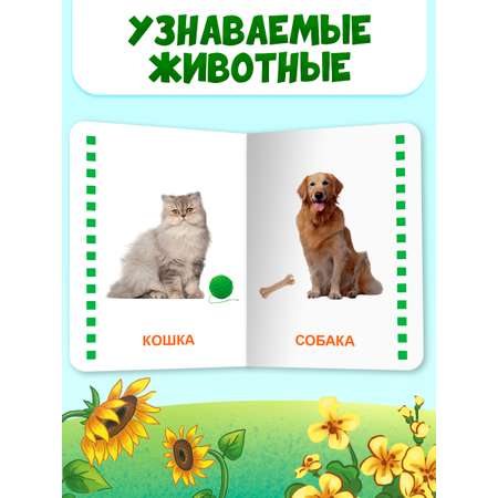Книжки Проф-Пресс картонные мини. развивающие для малышей. Набор из 4 шт. Первые слова