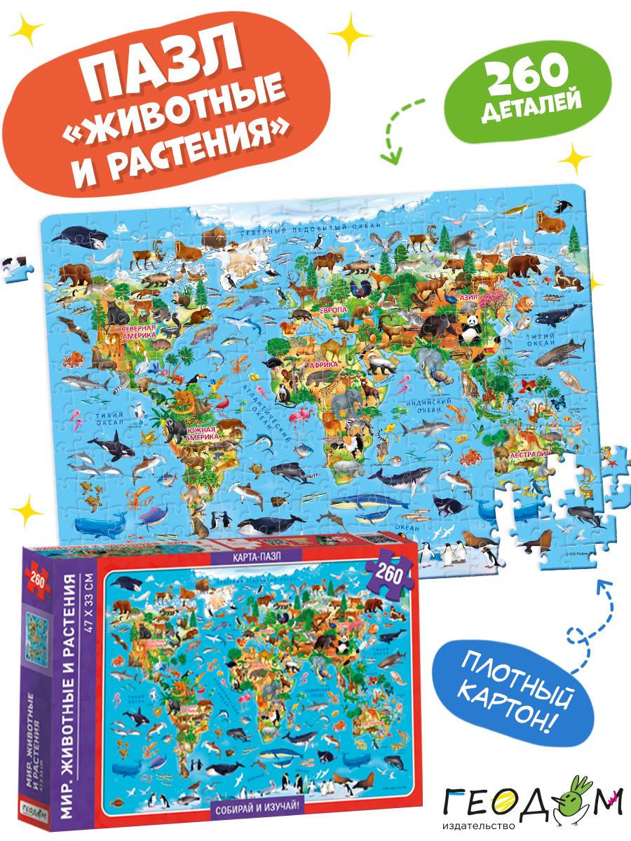 Настольная игра ГЕОДОМ - фото 4