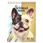 Скетчбук Феникс + А5 40 лист.