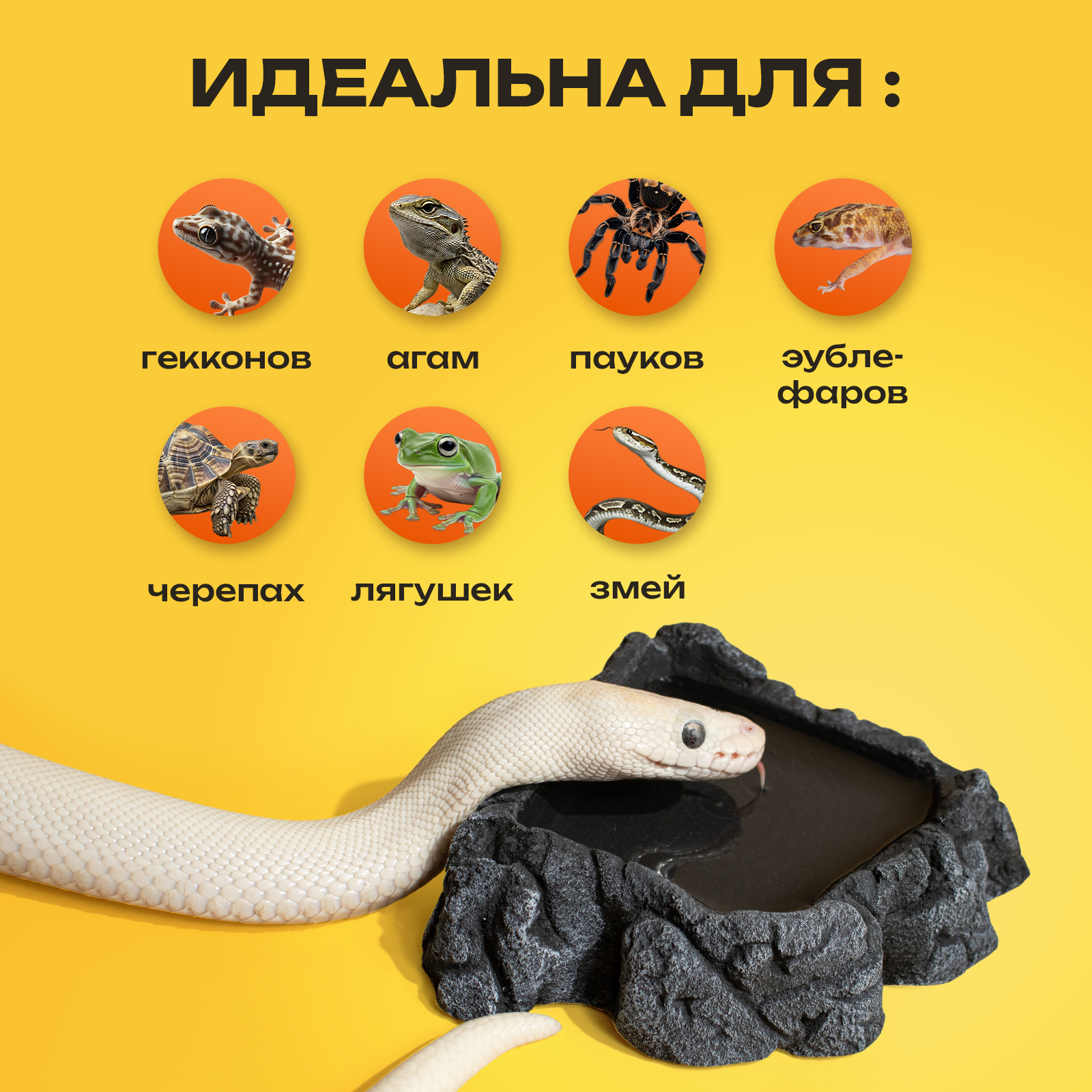 Поилка в террариум PETPOWER для рептилий и змеи - фото 3