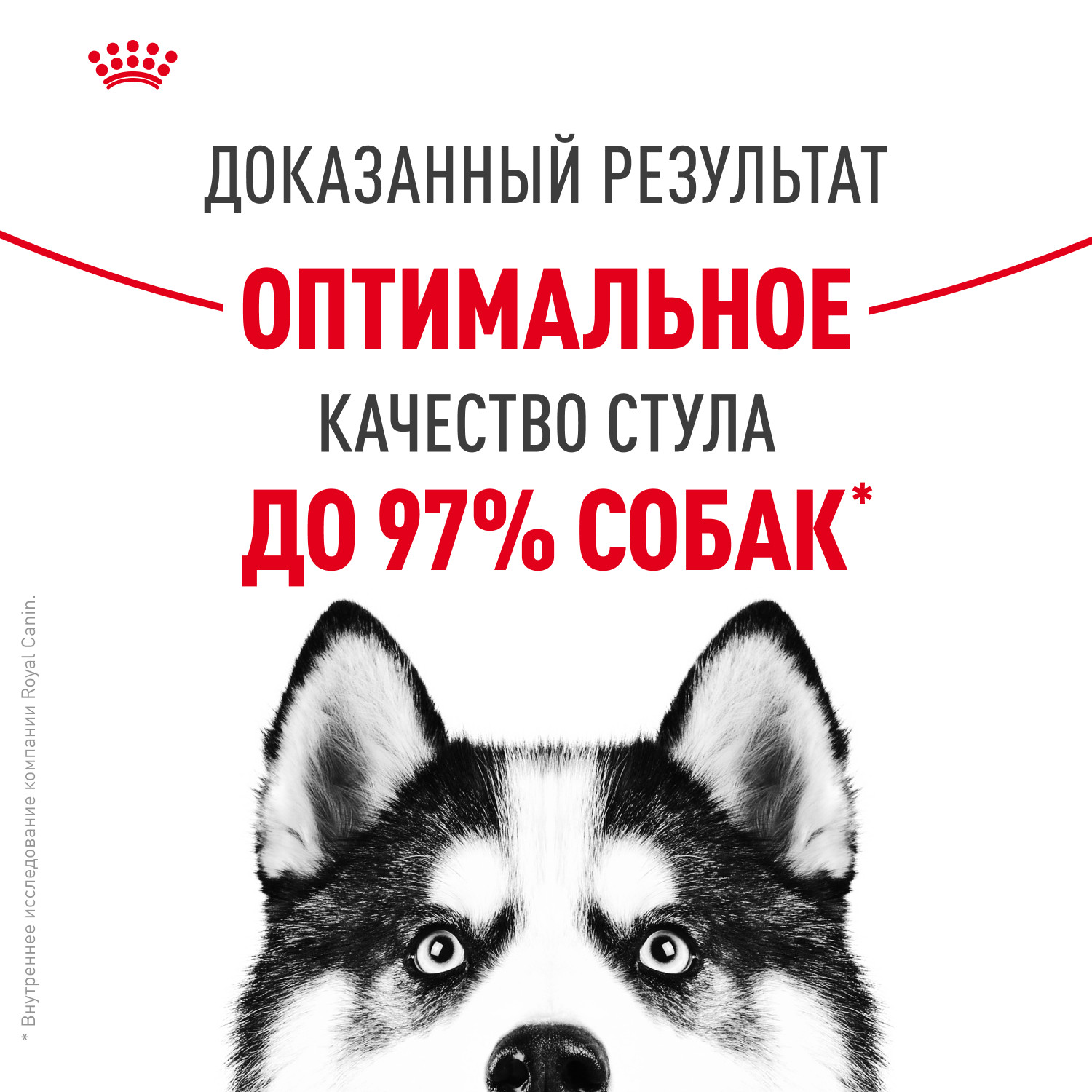 Корм для собак ROYAL CANIN Maxi Digestive Care крупных пород с чувствительным пищеварением 3кг - фото 4