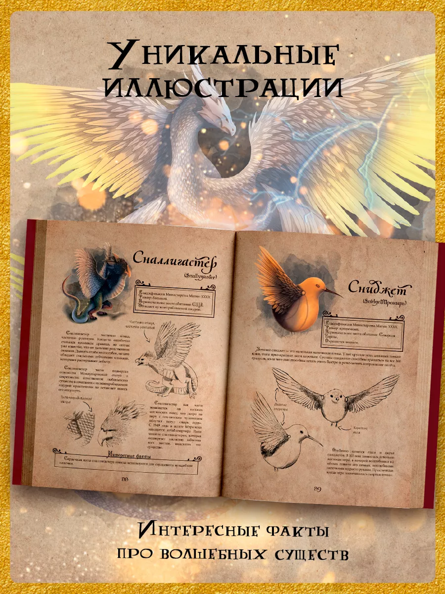 Книга True Books Space Волшебные существа по вселенной "Гарри Поттера" - фото 4