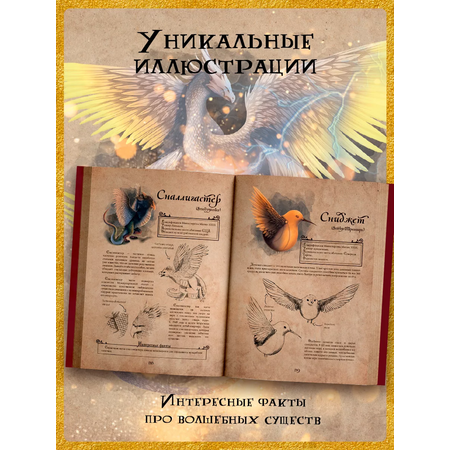 Книга True Books Space Волшебные существа по вселенной \"Гарри Поттера\"
