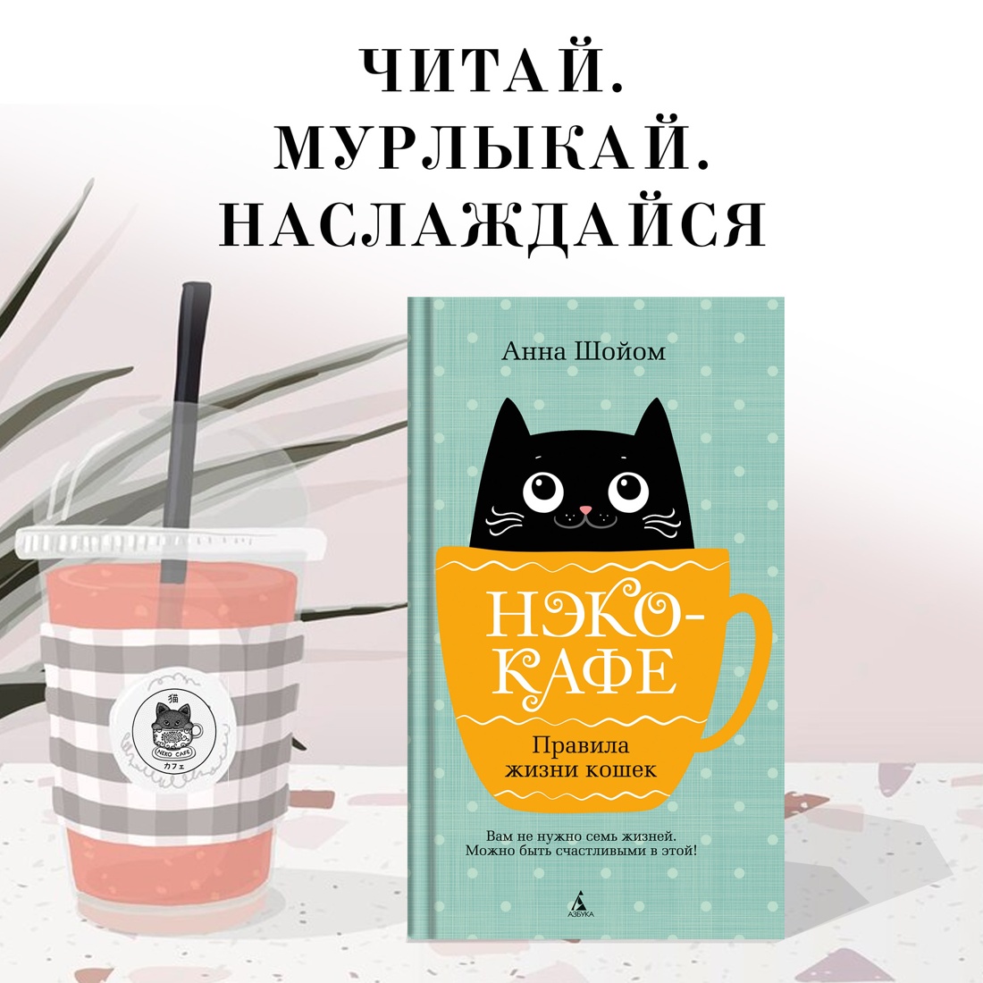 Книга АЗБУКА Анна Шойом. Нэко-кафе. Правила жизни кошек - фото 2