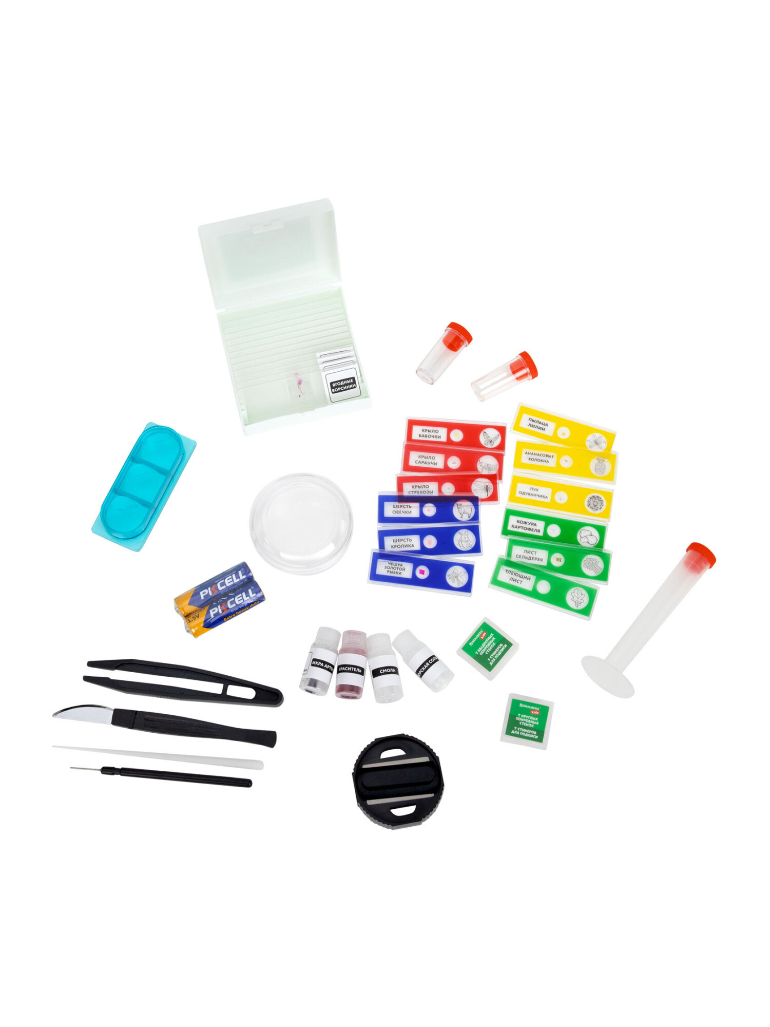 Микроскоп Brauberg - фото 11