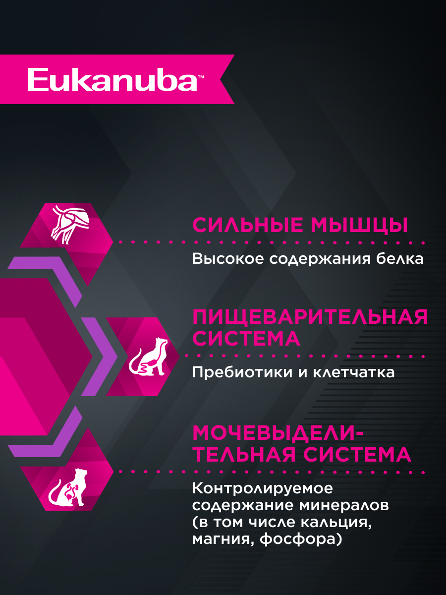 Корм влажный для котят Eukanuba Cat 85г с курицей в соусе пауч - фото 3