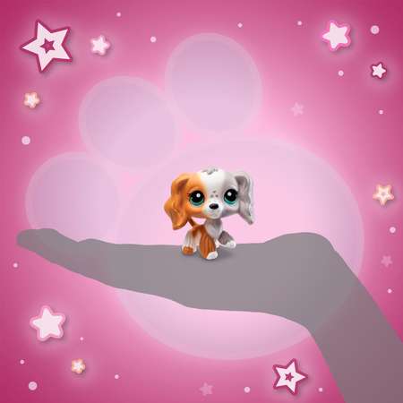 Игровой набор Littlest Pet Shop