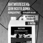 Антиплесень RASTVOR Active+концентрат 3 л