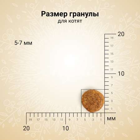 Корм для котят беременных и кормящих кошек CRAFTIA 1.4кг из курицы и рыбы harmona сухой