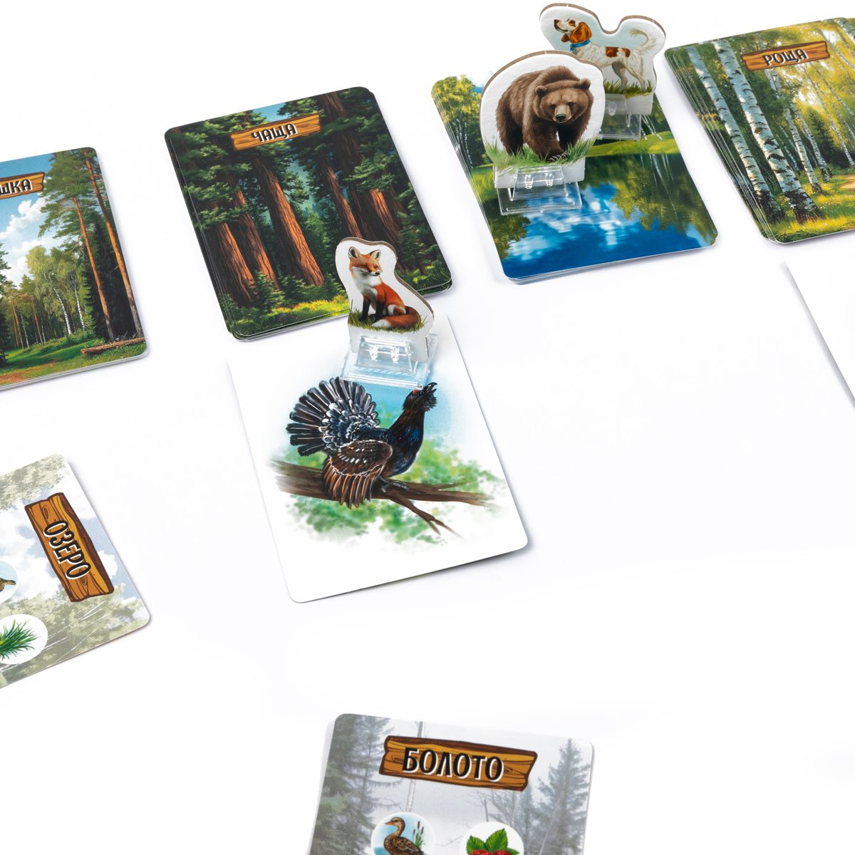 Настольная игра Эврикус Лесные истории - фото 9