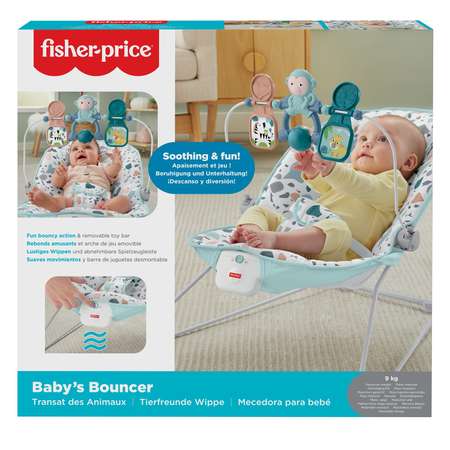 Кресло Fisher Price каркасное GWD38