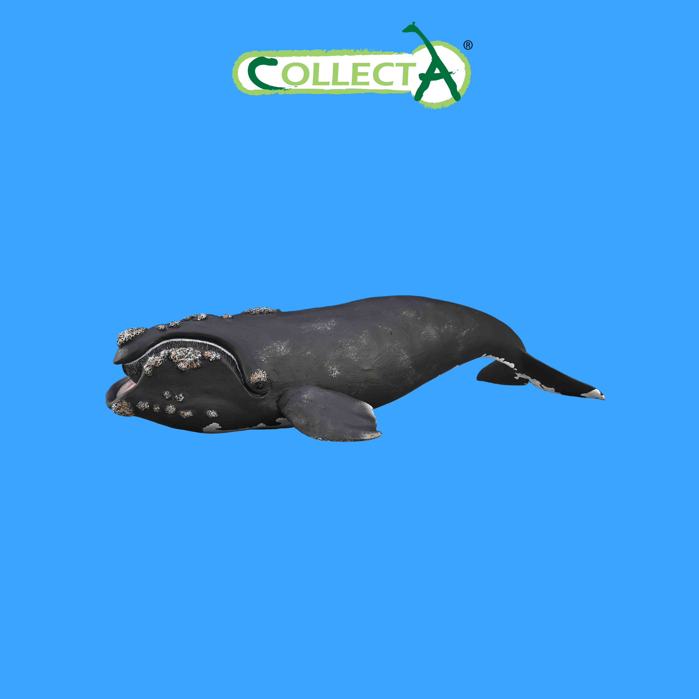 Фигурка Collecta Южный кит - фото 1