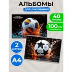 Альбом Profit Футбольные мячи А4 40 лист. 2 шт.