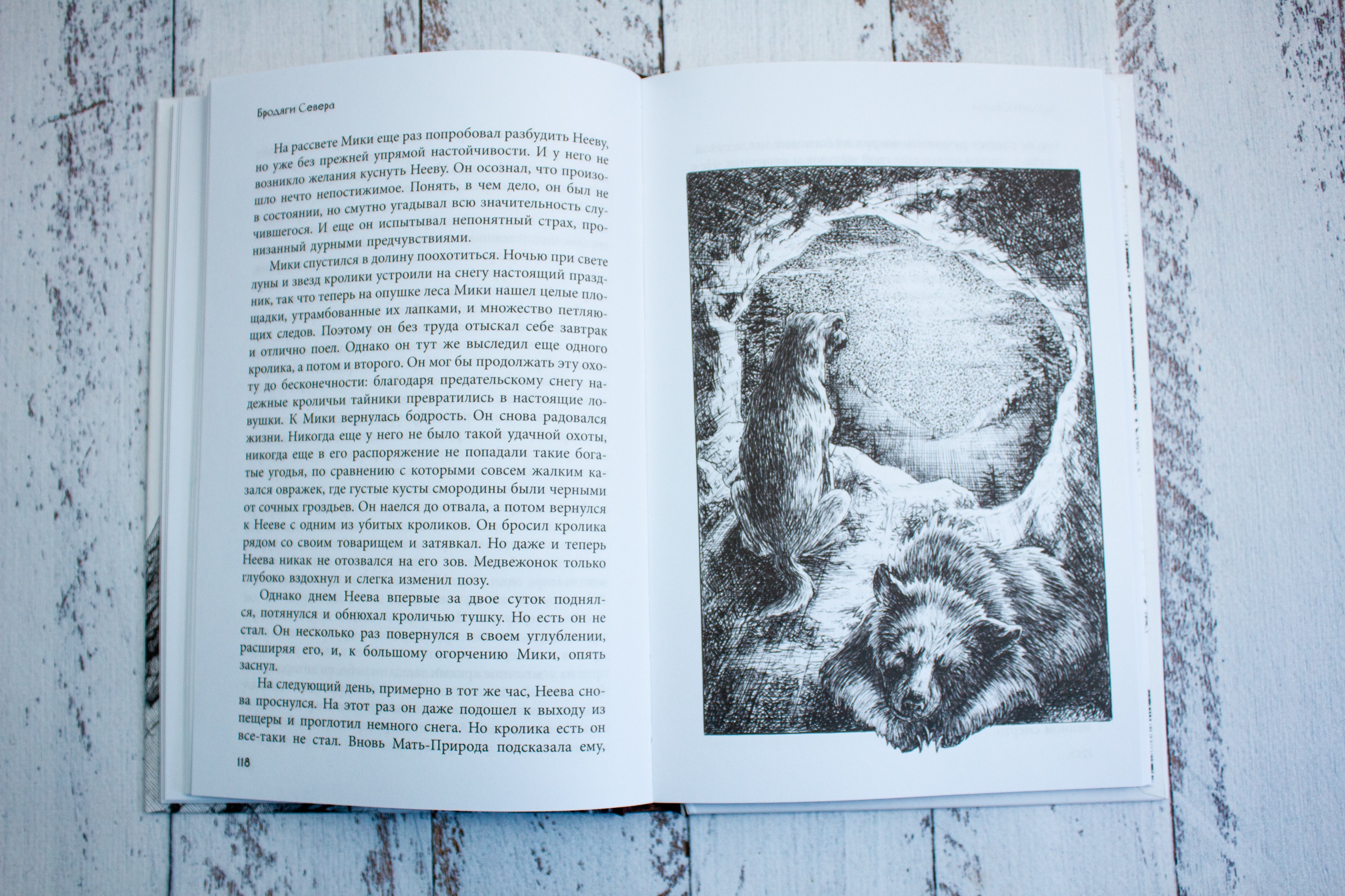 Книга Качели Бродяги Севера - фото 3