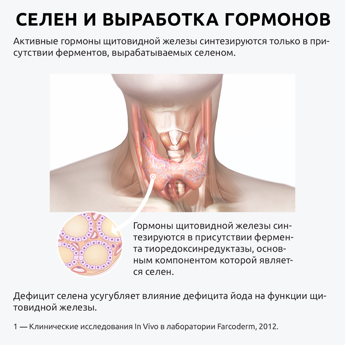 Комплекс селен селект премиум UltraBalance для женщин и мужчин с биоперином Selenium Select BioPerine БАД 180 капсул - фото 7