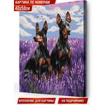 Картина по номерам Hobby Paint Доберманы в лаванде в ассортименте