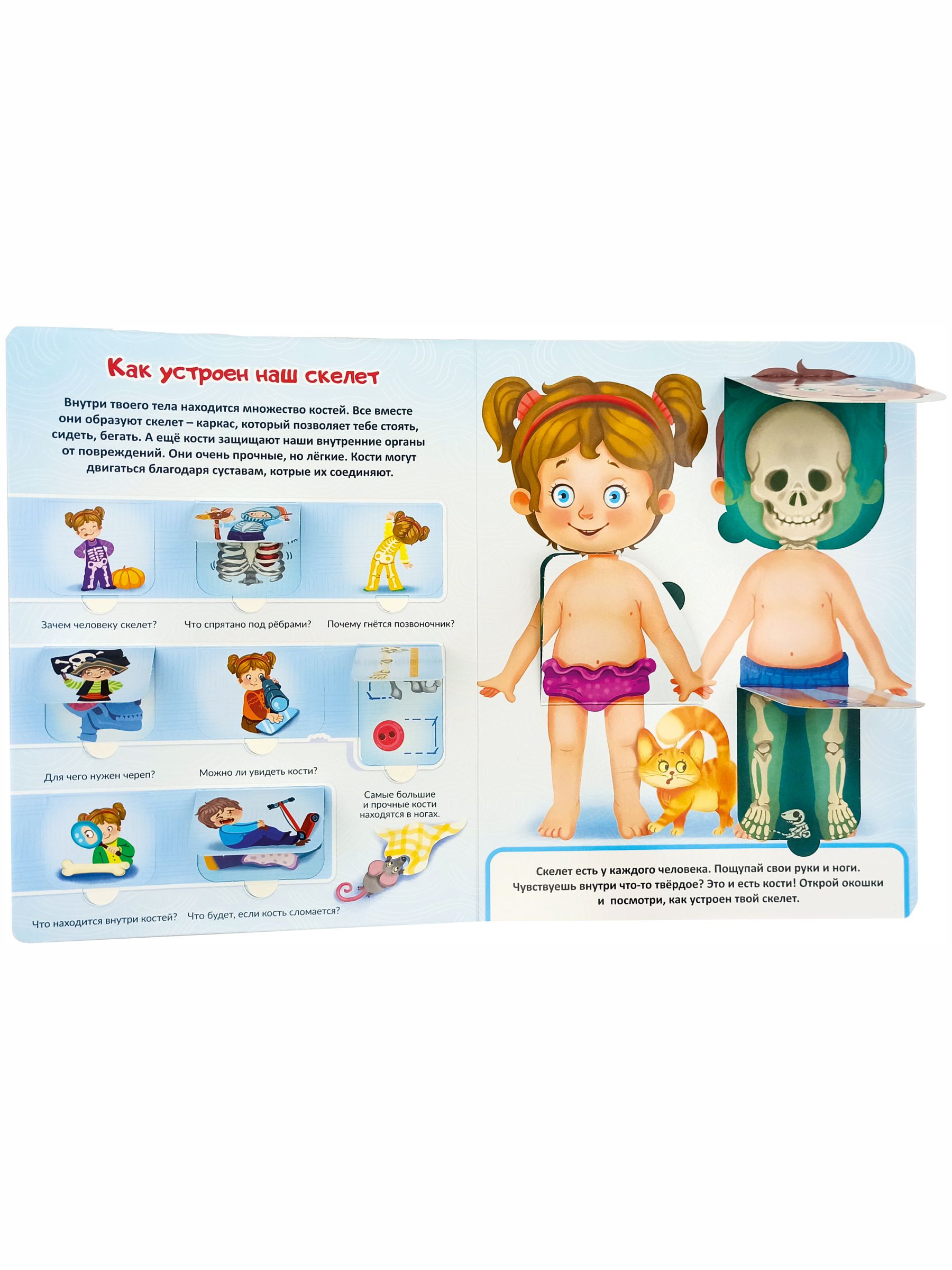 Книжка для малышей BimBiMon с окошками. Моя первая анатомия Виммельбух - фото 9