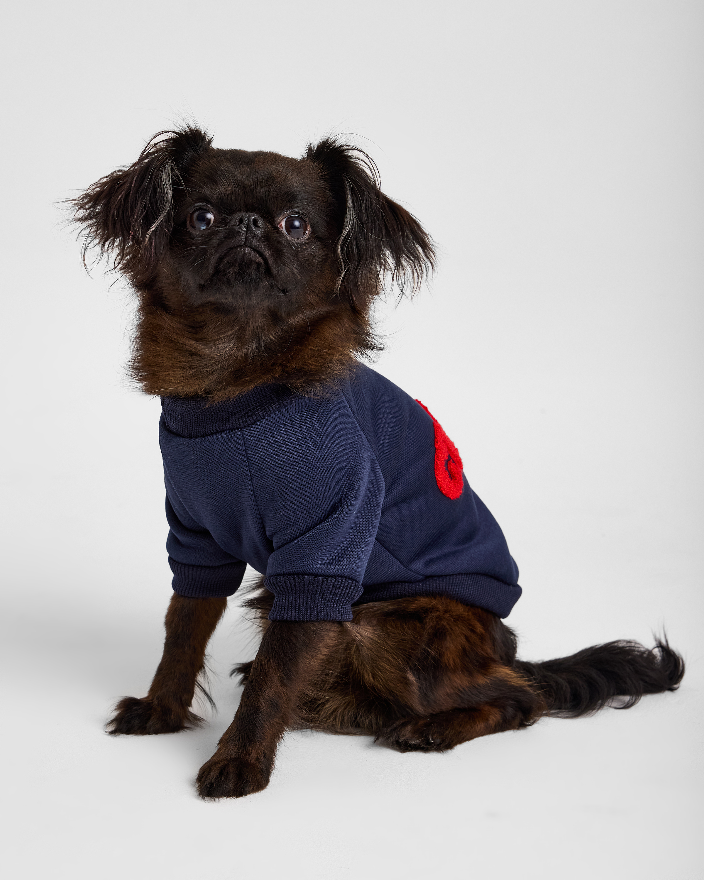 Изображение товара Свитшот Зоозавр 2XL для собак и кошек, синій с начёсом