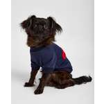 Изображение товара Свитшот для собак и кошек Зоозавр: 2XL