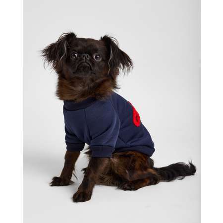 Свитшот для собак и кошек Зоозавр