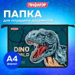 Папка для тетрадей Пифагор А4