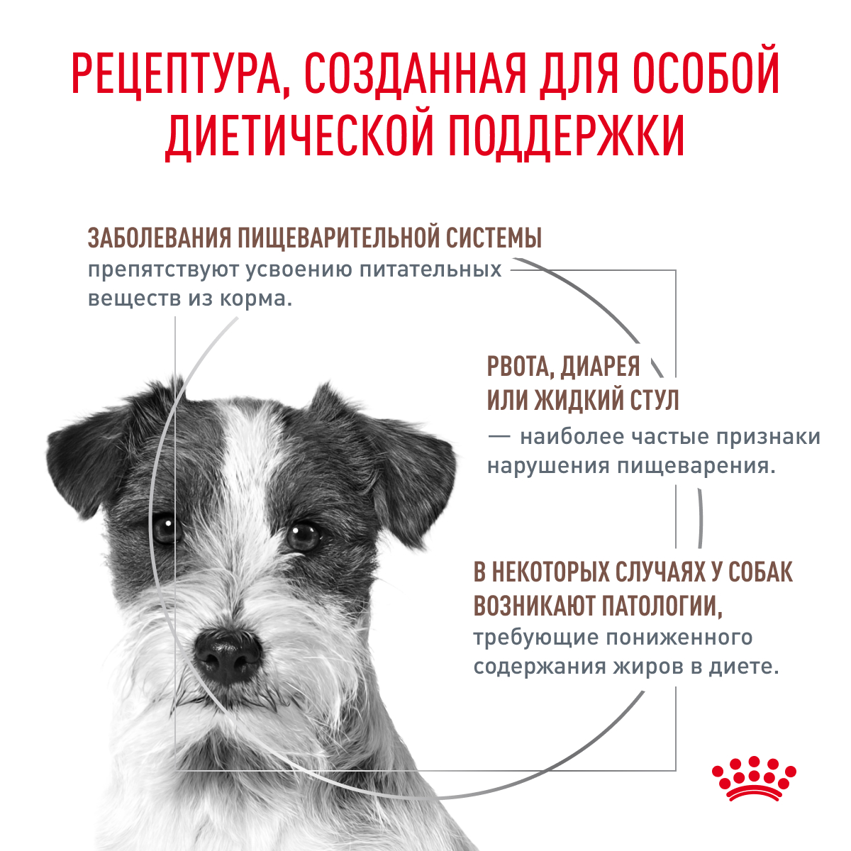 Корм для собак ROYAL CANIN Gastrointestinal low fat мелких пород 1кг - фото 2
