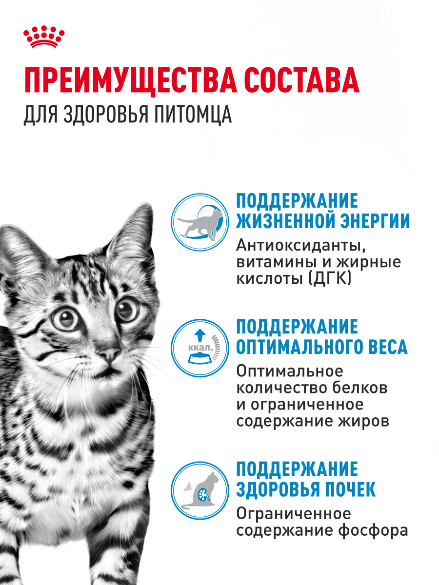 Корм для кошек ROYAL CANIN Indoor 85г для пожилых стерилизованных кошек 7+ соус пауч - фото 3