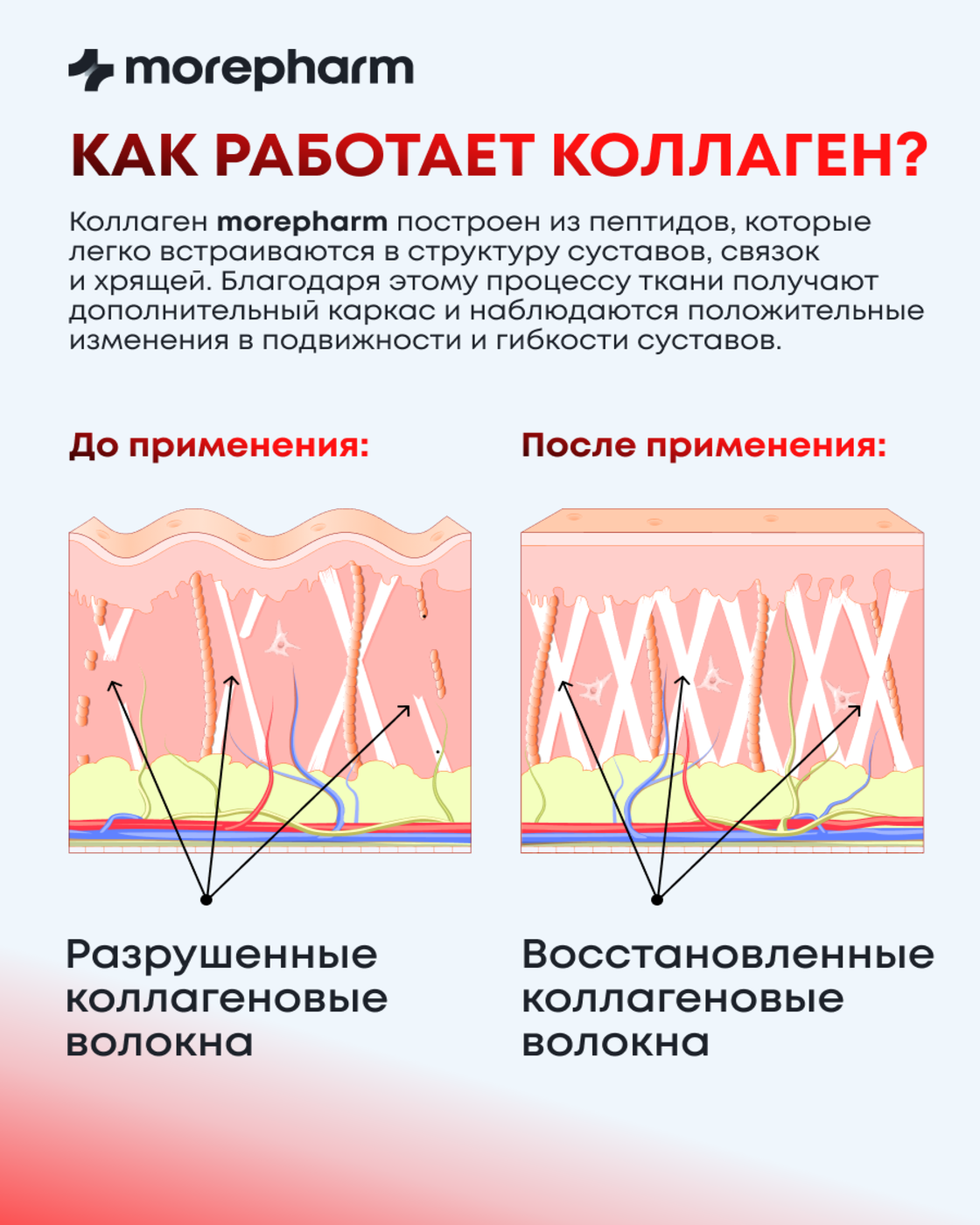 БАД morepharm Коллаген говяжий с витамином С для кожи и суставов - фото 17