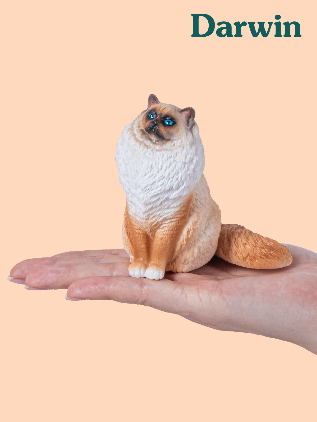 Фигурка DARWIN Кошка Рэгдолл - фото 2