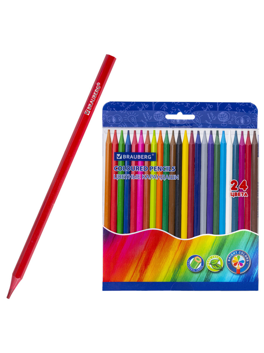 Карандаши цветные Brauberg 24 шт. - фото 2