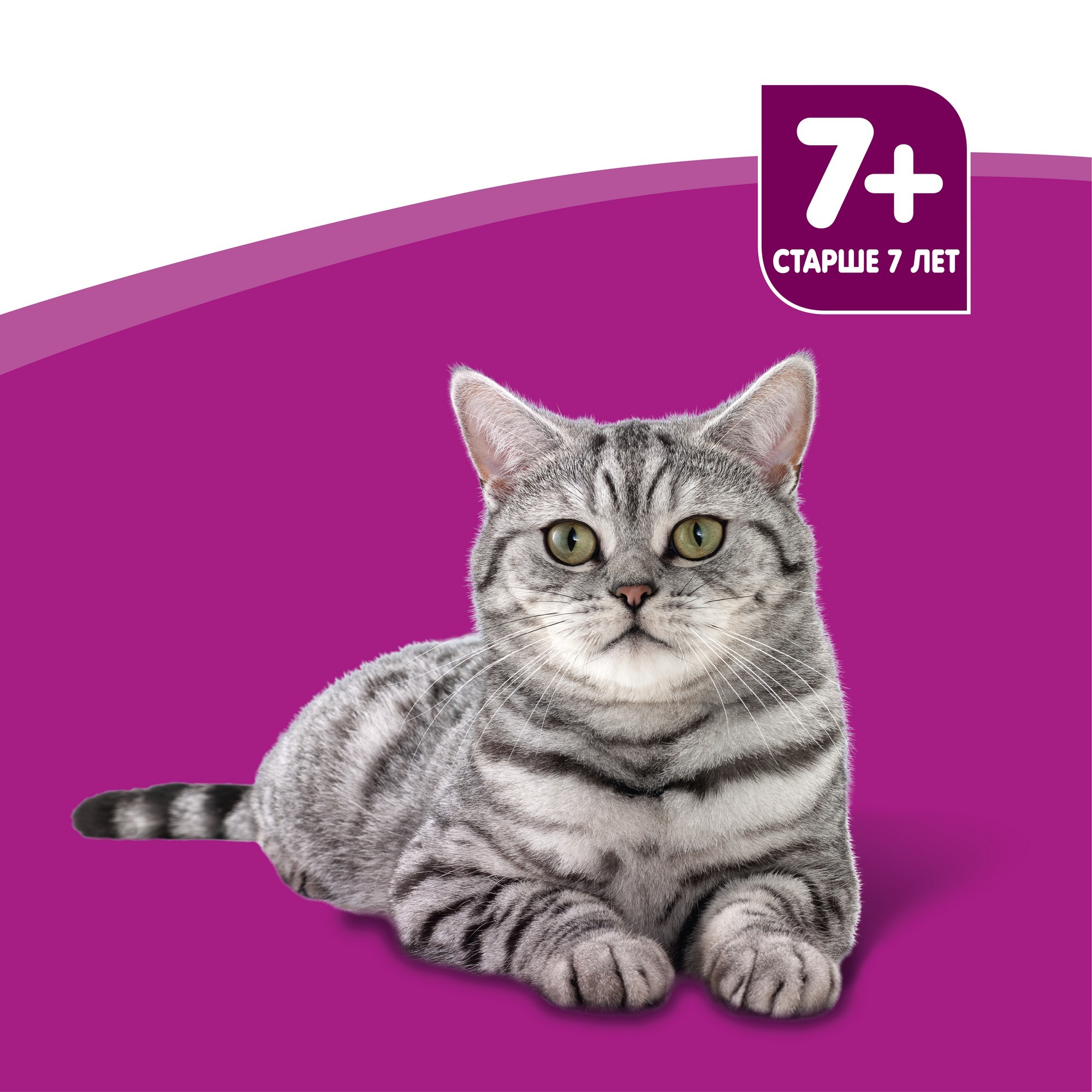 Корм влажный для кошек Whiskas 85г рагу с ягненком для пожилых пауч - фото 4