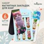 Закладка Calligrata