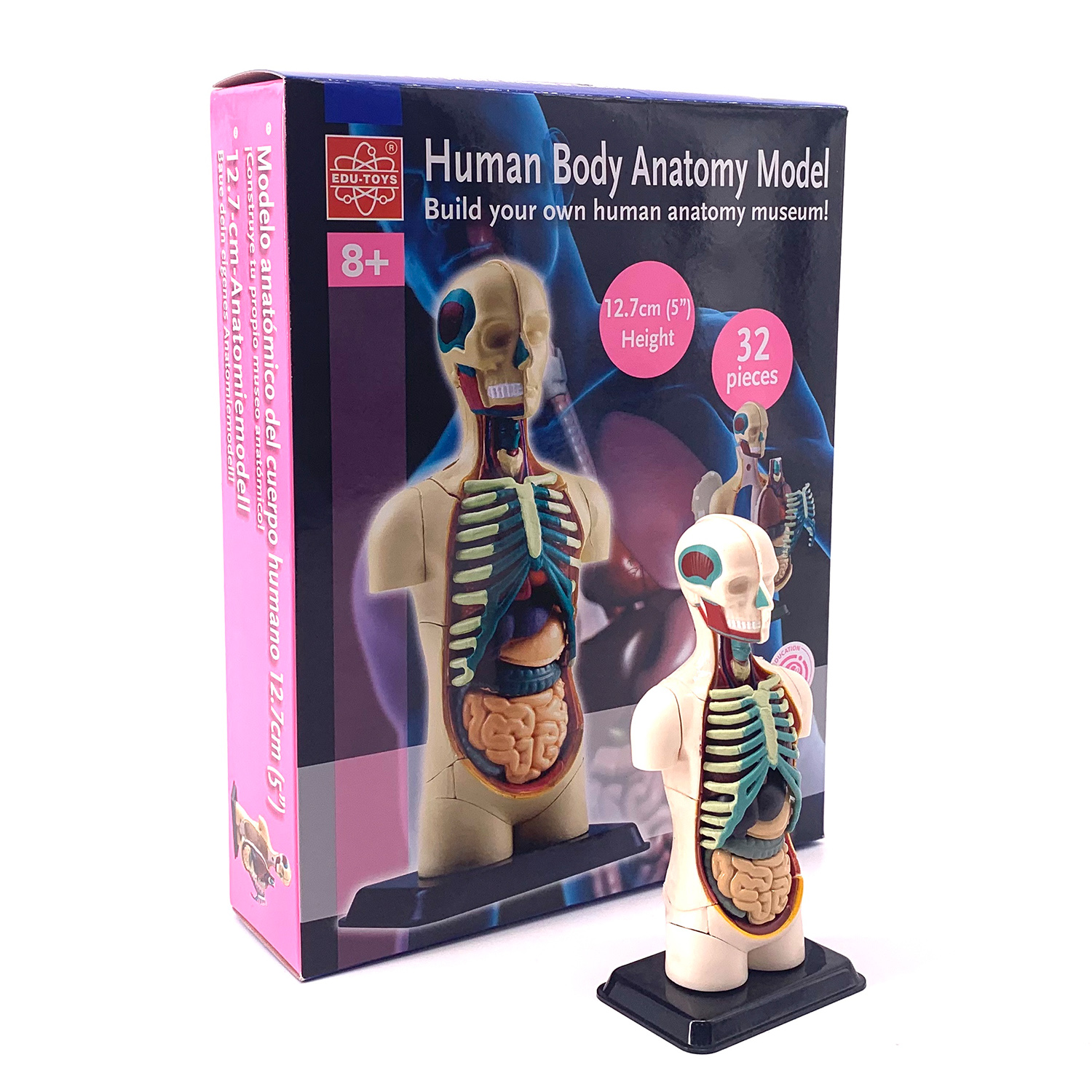 Наглядное пособие EDU-TOYS - фото 3