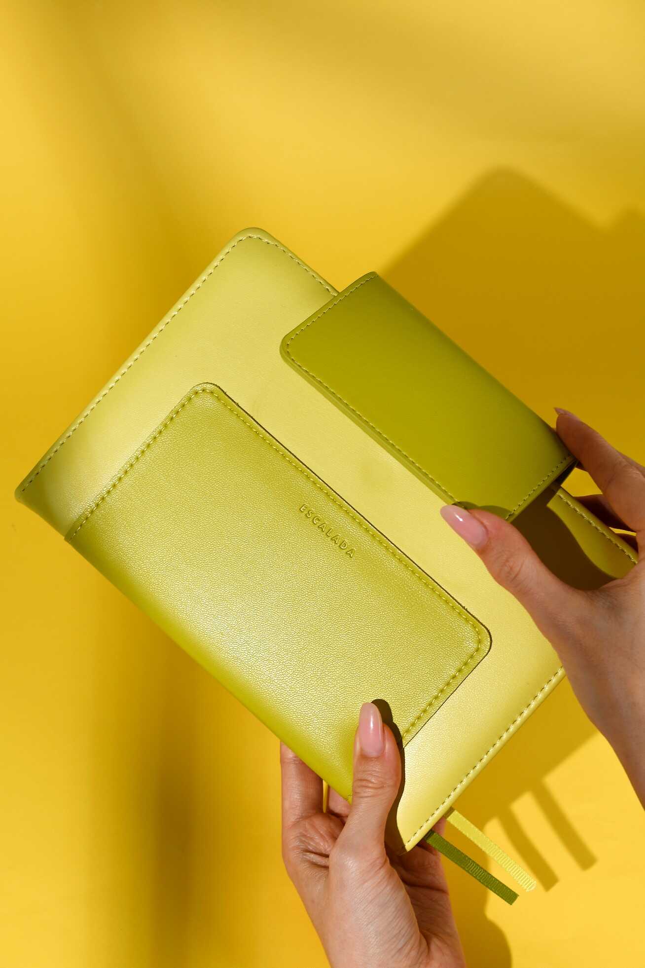 Ежедневник Феникс + ESCALADA 160 лист. - фото 4