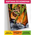 Картина по номерам Art on Canvas Тигриный глаз в ассортименте