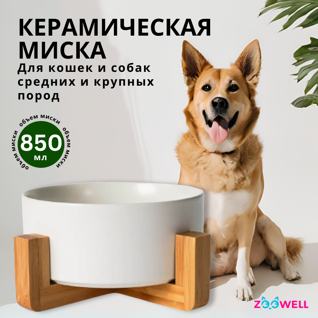 Керамическая миска для кошек и собак ZDK с подставкой из бамбука одинарная ZooWell Aura, 850мл, цвет белый - фото 1