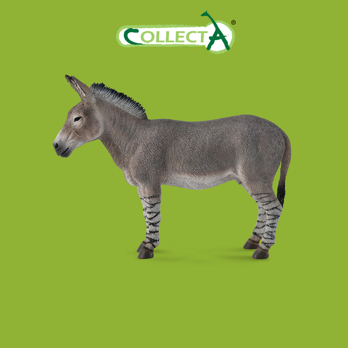 Фигурка Collecta Дикий африканский осел - фото 1