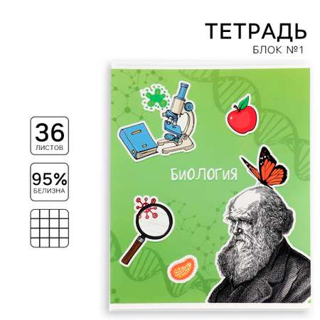 Тетрадь ArtFox STUDY