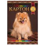 Цветной картон Hatber 8 лист.