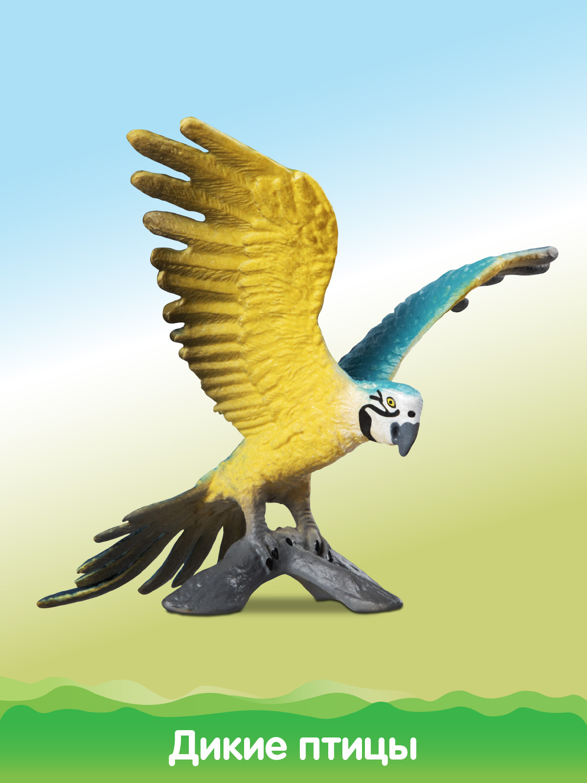 Игровой набор DARWIN Животные Птицы - фото 7